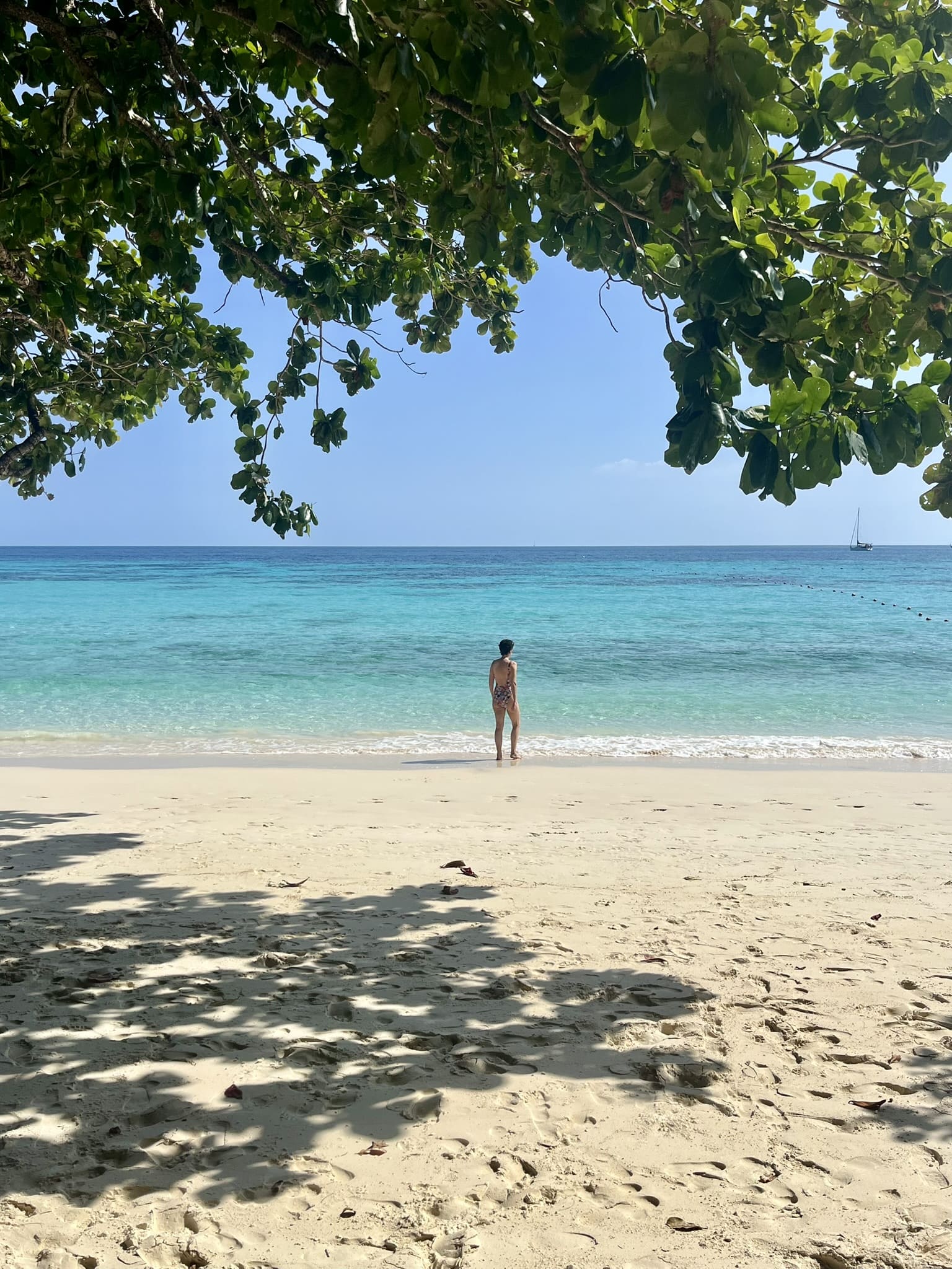 274180862 10160518798596318 3554556718334393128 n