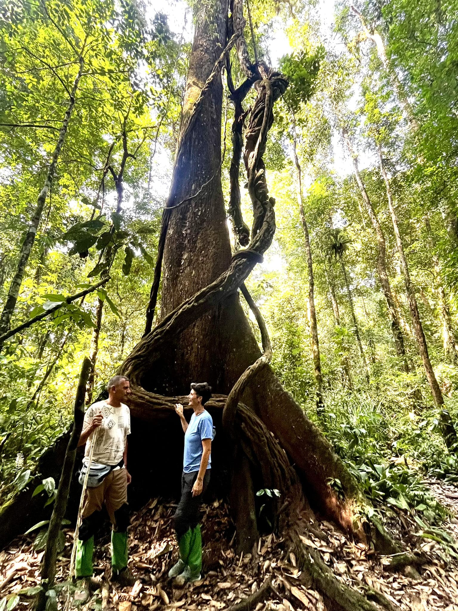 274180862 10160518798596318 3554556718334393128 n